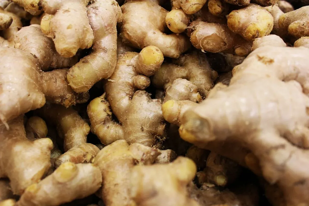 Dry Ginger